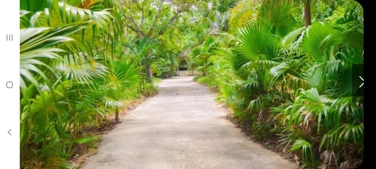 Spacious Tranquility Cove Two Bedroom Apartment St Mary